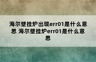 海尔壁挂炉出现err01是什么意思 海尔壁挂炉err01是什么意思